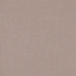 Gạch lát sàn Trường Thịnh COOLSTONE C6120